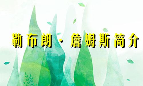 勒布朗·詹姆斯简介 最新詹姆斯星座分析