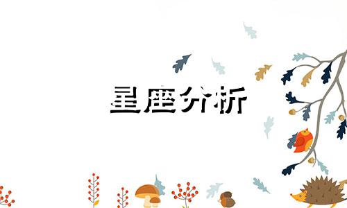 星座分析 情感专长 十二生肖综合分析