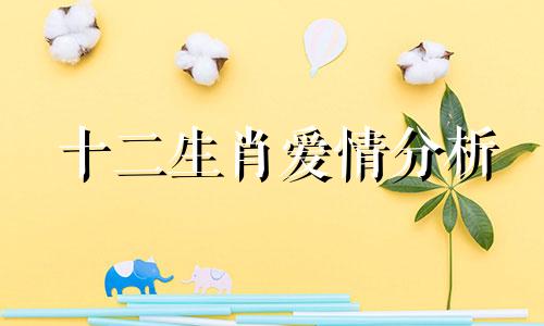 十二生肖爱情分析 十二生肖性格分析夫妻关系