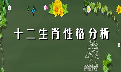 十二生肖性格分析 可视星座性格分析图解