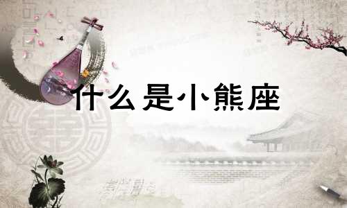 什么是小熊座 小熊座库存分析表