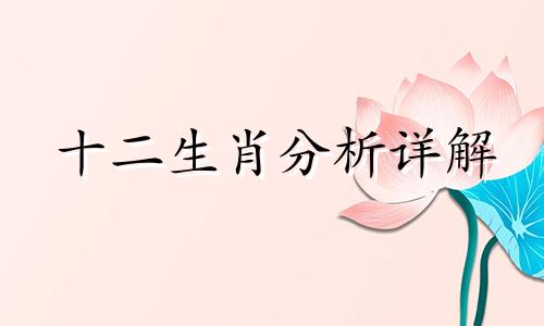 十二生肖分析详解 十二生肖测量方法图表分析