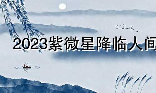2023紫微星降临人间 紫微星下的凡人特点