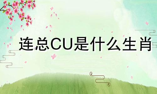 连总CU是什么生肖 连总女嘉宾生肖分析表