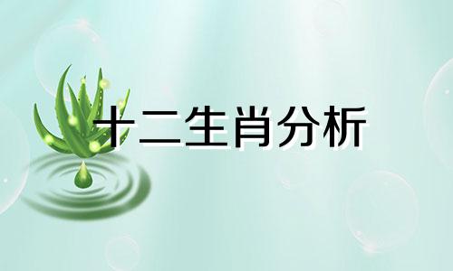 十二生肖分析 百度十二生肖分析