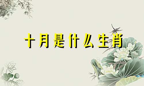 十月是什么生肖 十月生肖性格分析图