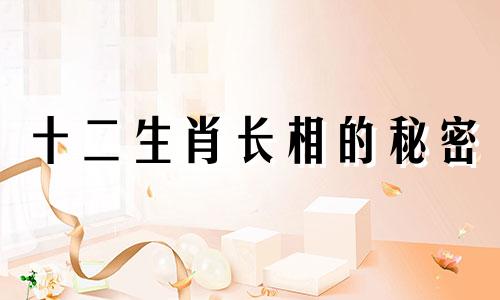 十二生肖长相的秘密 男女生肖分析表
