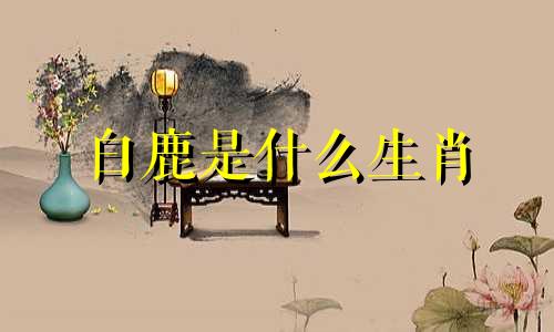 白鹿是什么生肖 白鹿真实生肖分析图