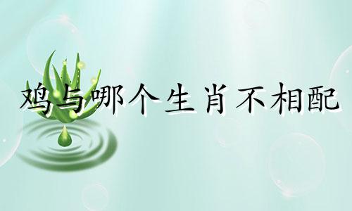 鸡与哪个生肖不相配 鸡与哪个生肖不相配