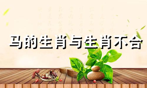 马的生肖与生肖不合 哪些生肖与马生肖不合