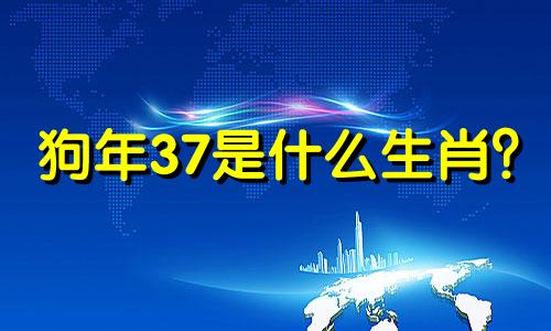 狗年37是什么生肖？