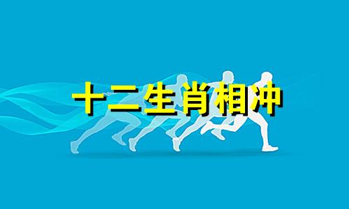 十二生肖相冲 十二生肖相冲，各生肖皆有害，相冲