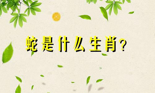 蛇是什么生肖？ 12生肖中，蛇是什么星座？