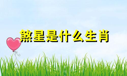 煞星是什么生肖 哪九颗星是九宫飞星，十二生肖分别对应哪些生肖
