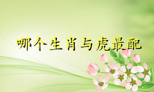 哪个生肖与虎最配 哪个生肖与虎最配