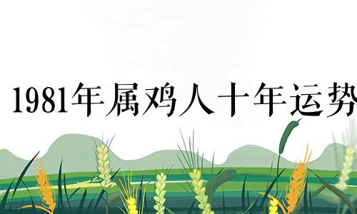 1981年属鸡人十年运势 1981年属鸡人42岁桃花运如何？