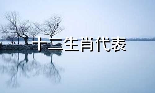 十二生肖代表 胜利老师是什么生肖