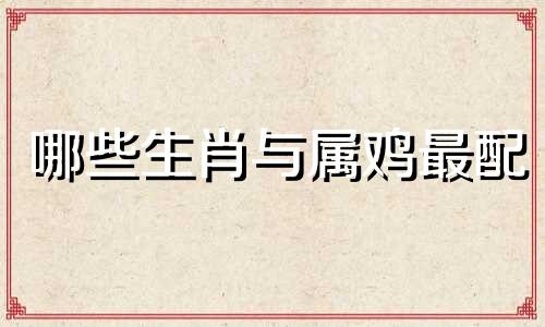 哪些生肖与属鸡最配 属鸡的生肖完全匹配