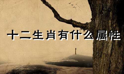 十二生肖有什么属性 壬水贵人是什么生肖