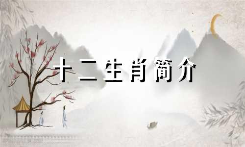 十二生肖简介 12生肖简介