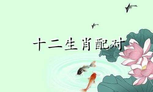 十二生肖配对 民间专家十二生肖配对