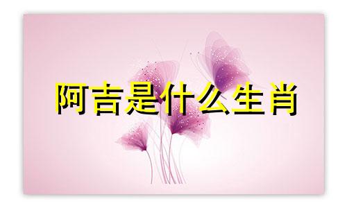 阿吉是什么生肖 女孩的花名