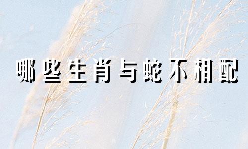 哪些生肖与蛇不相配 蛇与哪些生肖相克