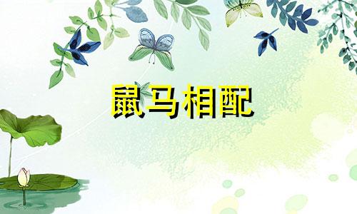 鼠马相配 马与鼠是否相配，谁胜谁负