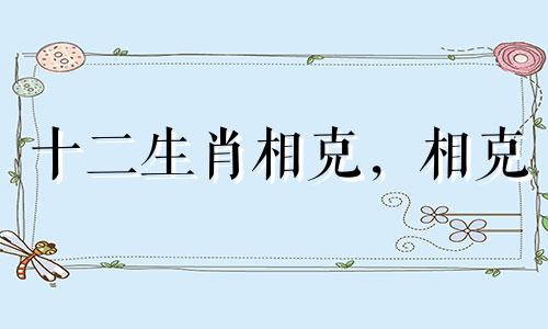 十二生肖相克，相克 十二生肖相冲