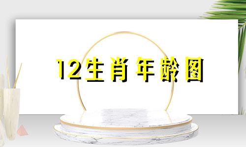 12生肖年龄图 生肖146岁
