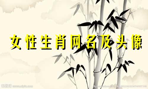 女性生肖网名及头像 2016年10月28日生肖属羊的女性应该使用什么样的微信头像和昵称