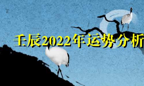 壬辰2022年运势分析