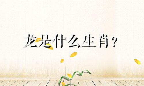 龙是什么生肖？  龙属于什么生肖？