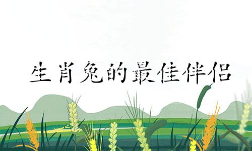 生肖兔的最佳伴侣 生肖兔的最佳伴侣