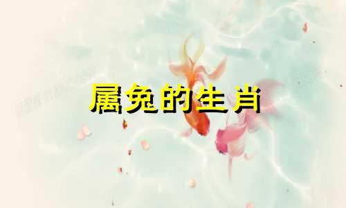 属兔的生肖 属兔五颗星属于什么生肖