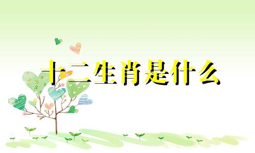 十二生肖是什么 十二生肖中的牛是什么星座