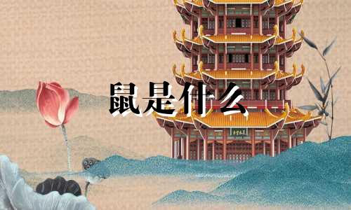 鼠是什么 十二生肖中鼠是什么生肖