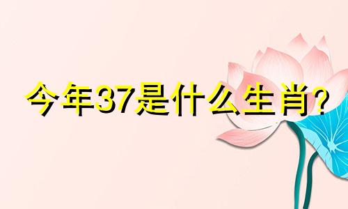 今年37是什么生肖？  今年37是什么生肖