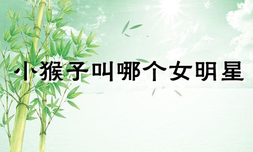 小猴子叫哪个女明星 杨紫出生时是什么生肖