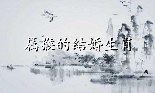 属猴的结婚生肖 属猴最适合结婚的生肖,属猴与什么生肖最配