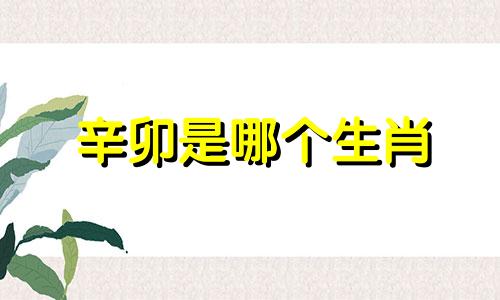 辛卯是哪个生肖 辛卯日是什么生肖