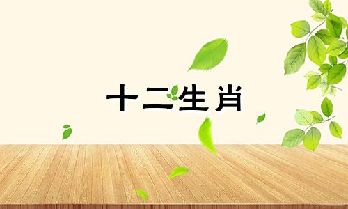 十二生肖 如何解读三合会中的星座