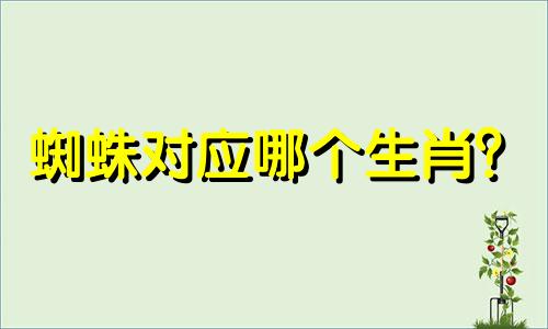 蜘蛛对应哪个生肖？  蜘蛛是什么生肖？