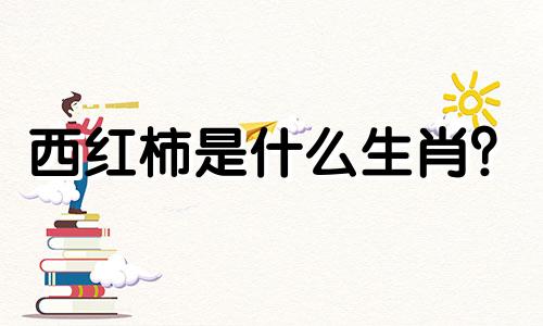 西红柿是什么生肖? 西红柿是什么生肖