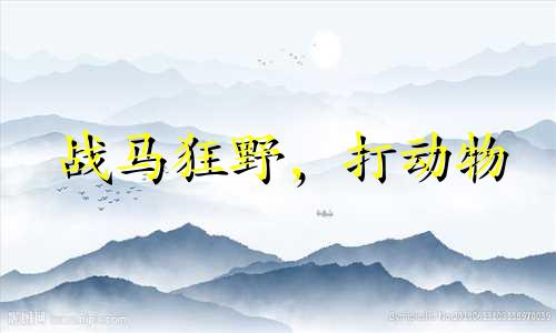 战马狂野，打动物 战马狂野是什么生肖