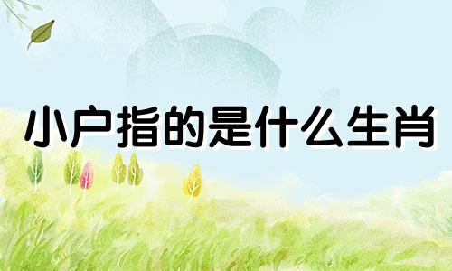 小户指的是什么生肖 业主指的是什么生肖