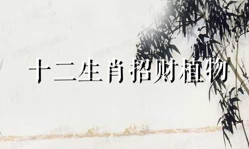 十二生肖招财植物 十二生肖招财盆栽