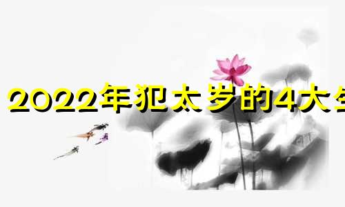 2022年犯太岁的4大生肖