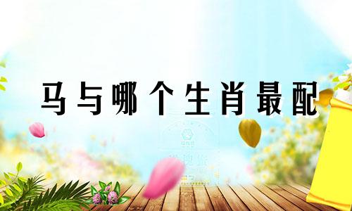 马与哪个生肖最配 马与其他生肖最配