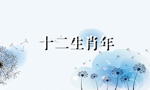 十二生肖年 十二生肖分类表